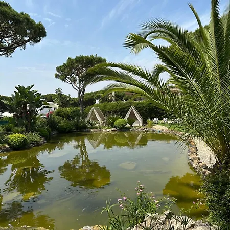 Falésia - Adults Only 4* Albufeira