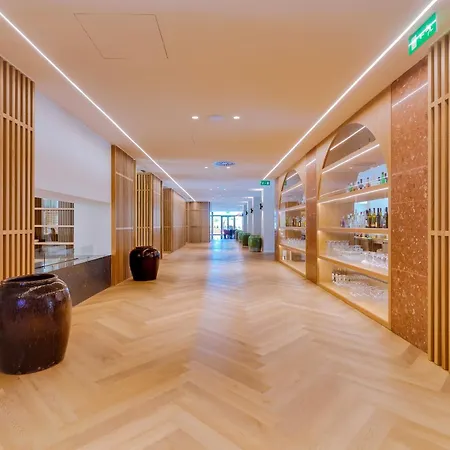 法莱西亚酒店-仅限成人入住 阿尔布费拉