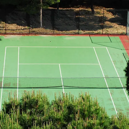 Ξενοδοχείο Falesia - Adults Only 4*