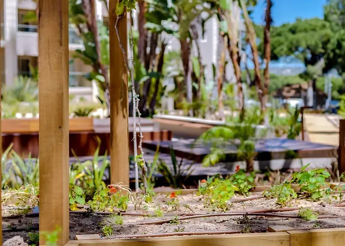 Falésia - Adults Only Albufeira