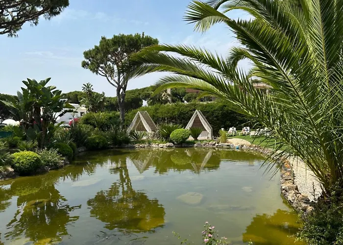 Falésia - Adults Only 4* Albufeira