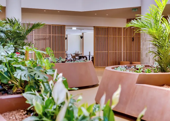 Szálloda Falésia - Adults Only Albufeira