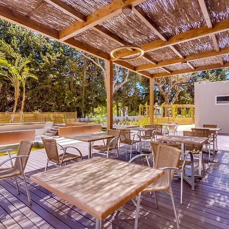 Hotel Falesia - Adults Only 4*