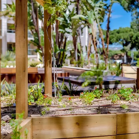 Falesia - Adults Only Albufeira