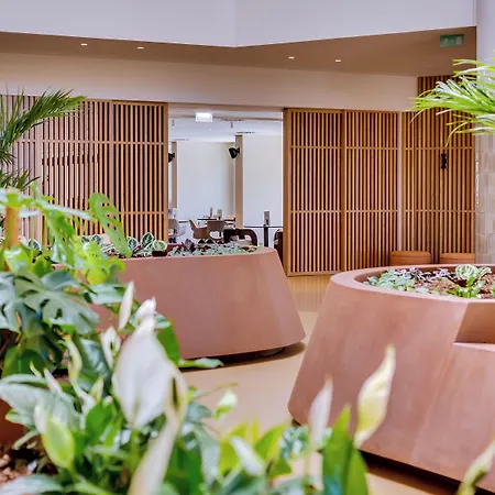 Hotel Falesia - Adults Only Albufeira